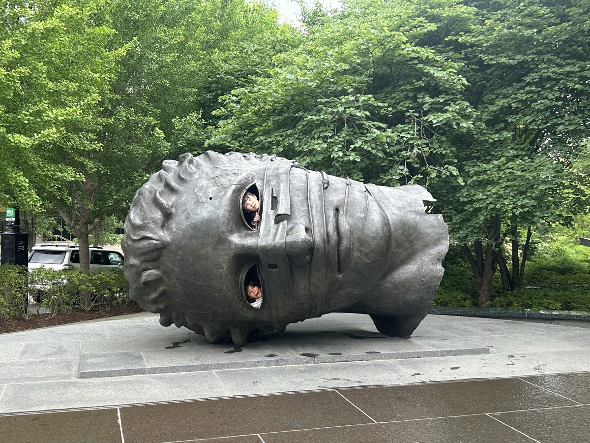 Intellect — photo 11