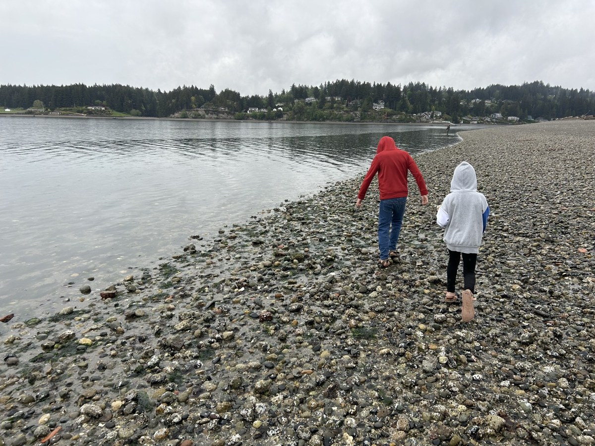 Searching millions of rocks on the beach every day for a week straight!