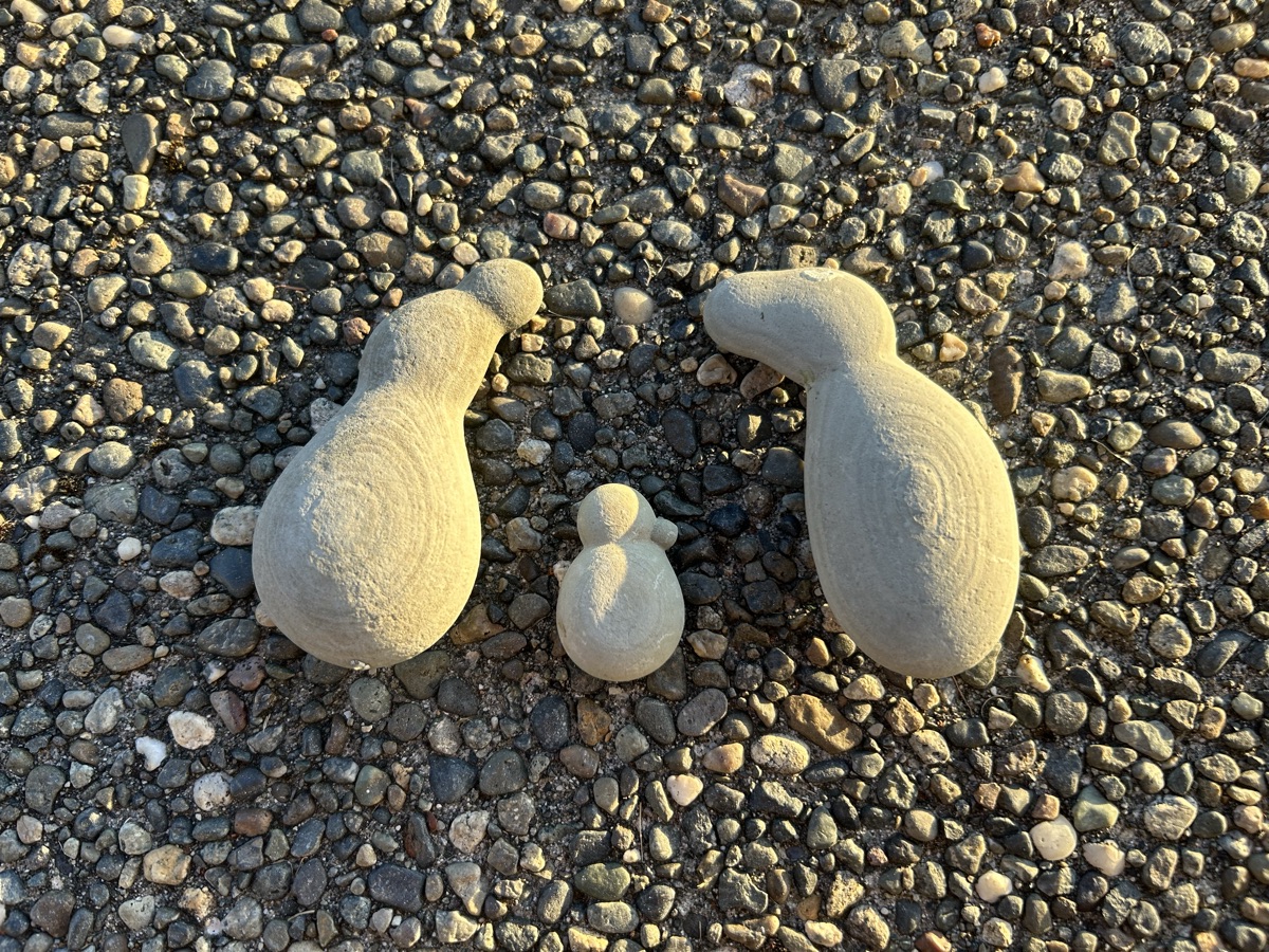Penguin family