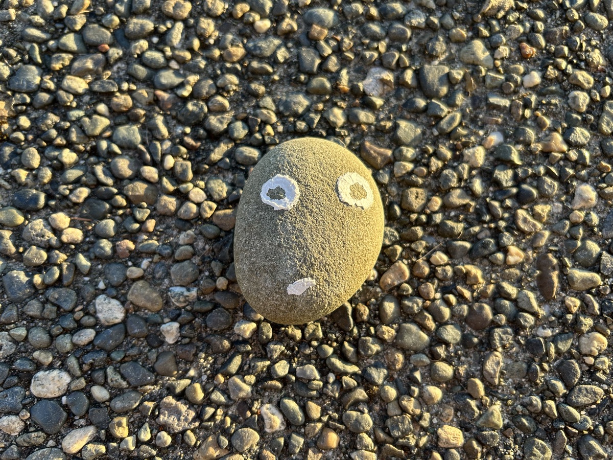 Rock spirit (and no, we did not paint this — those are barnacle remnants, as we found them)
