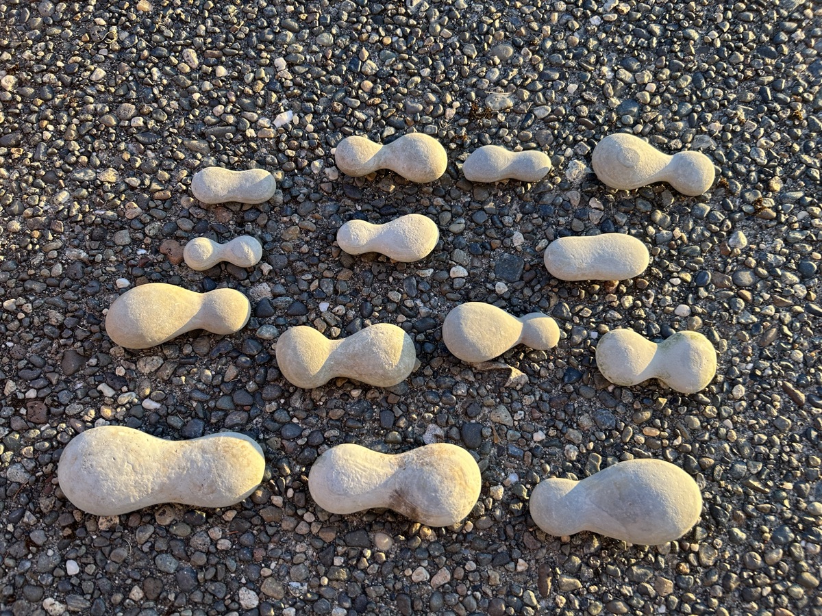 Peanuts