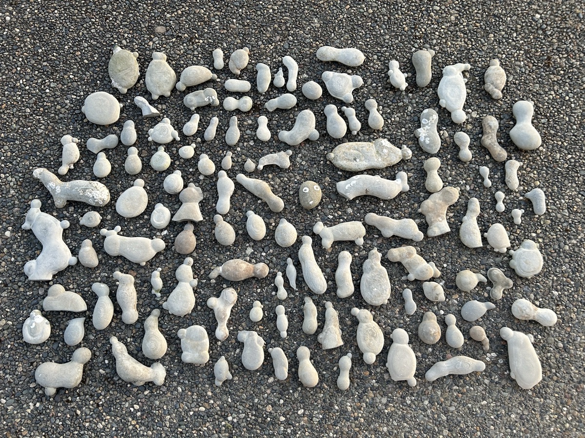 The whole collection (that we scattered back on the beach)